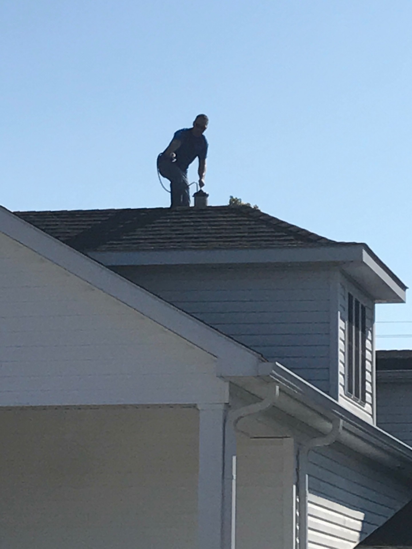 Roof_IMG_0784